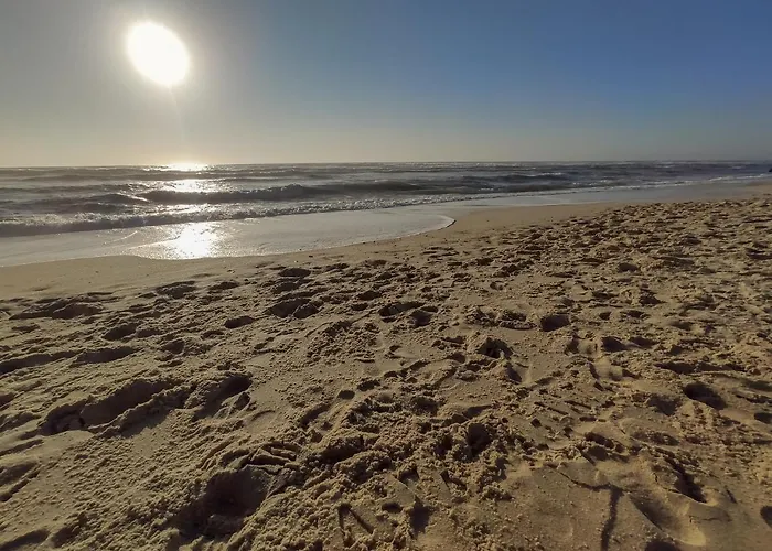 Brisa Do Mar Da Vagueira Apartment